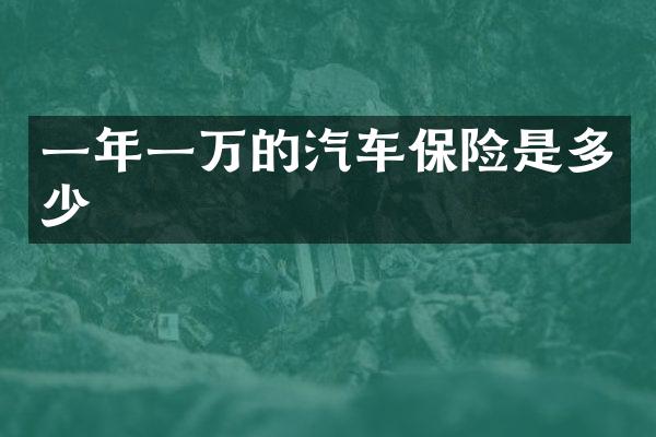 一年一万的汽车保险是多少