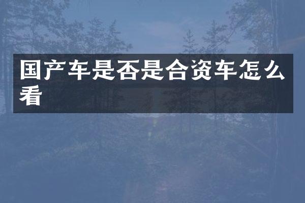国产车是否是合资车怎么看