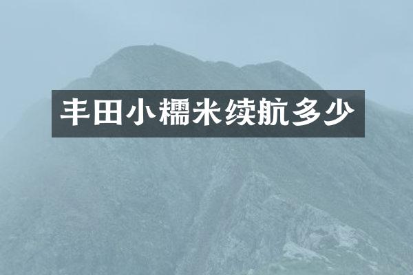 丰田小糯米续航多少