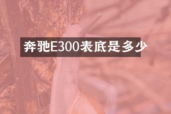 奔驰E300表底是多少