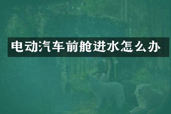电动汽车前舱进水怎么办