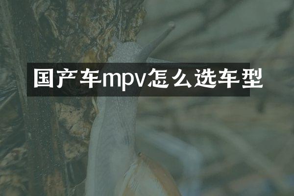 国产车mpv怎么选车型