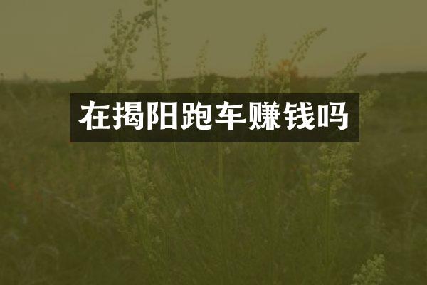 在揭阳跑车赚钱吗