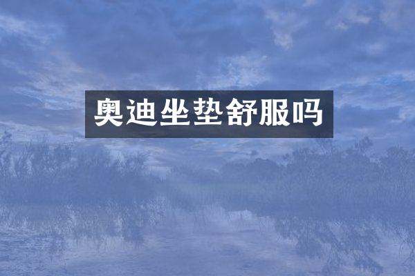 奥迪坐垫舒服吗