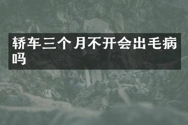 轿车三个月不开会出毛病吗