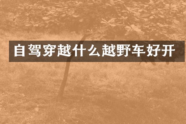 自驾穿越什么越野车好开