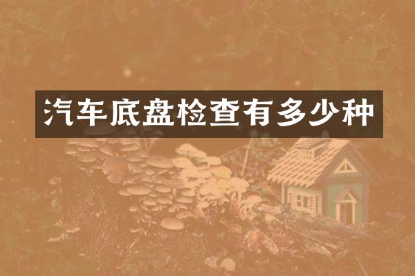 汽车底盘检查有多少种