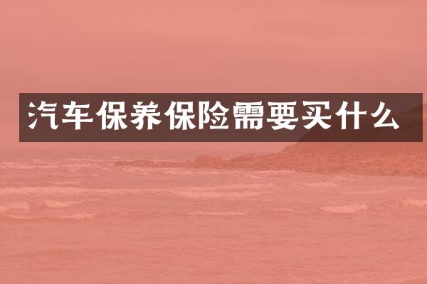 汽车保养保险需要买什么