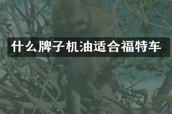 什么牌子机油适合福特车