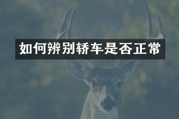如何辨别轿车是否正常