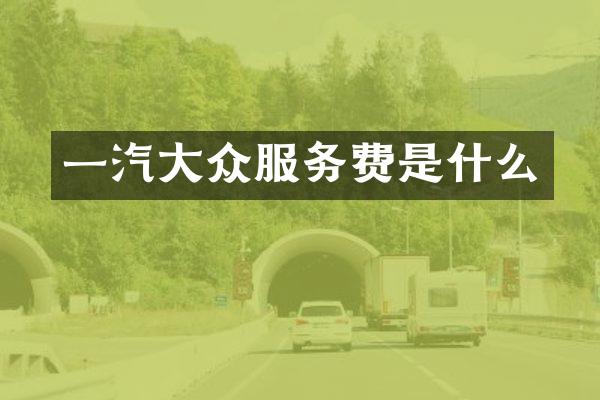 一汽大众服务费是什么