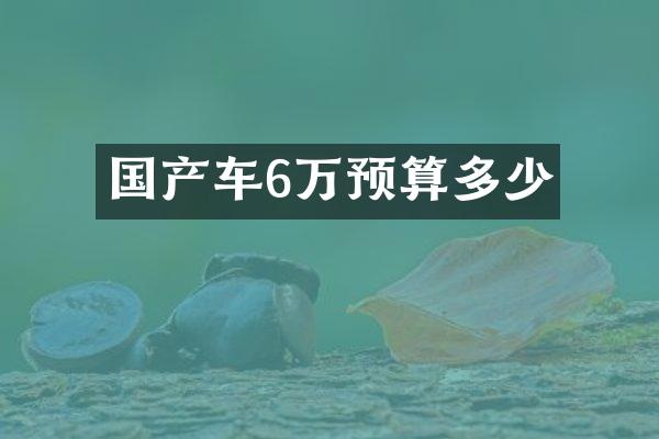 国产车6万预算多少