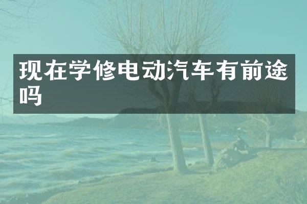 现在学修电动汽车有前途吗