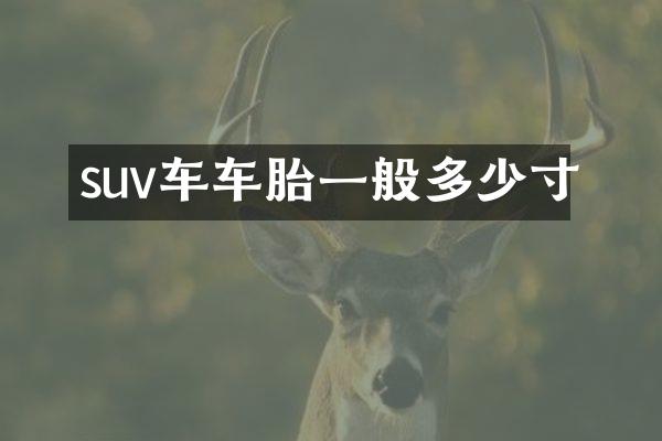 suv车车胎一般多少寸
