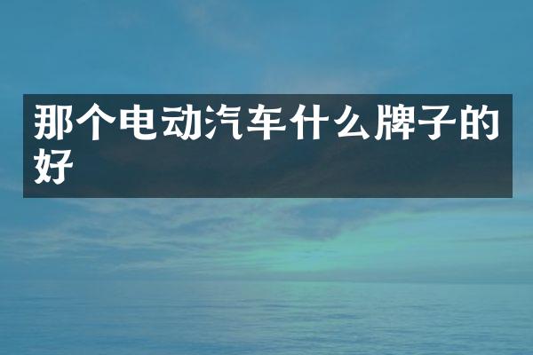 那个电动汽车什么牌子的好