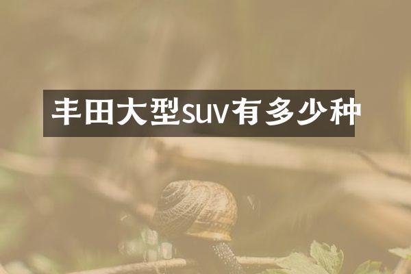 丰田大型suv有多少种
