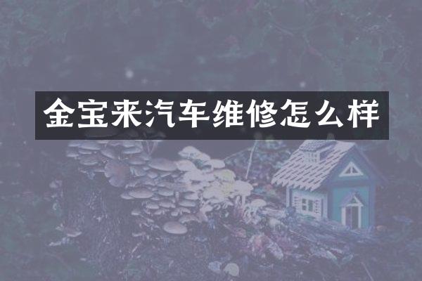 金宝来汽车维修怎么样