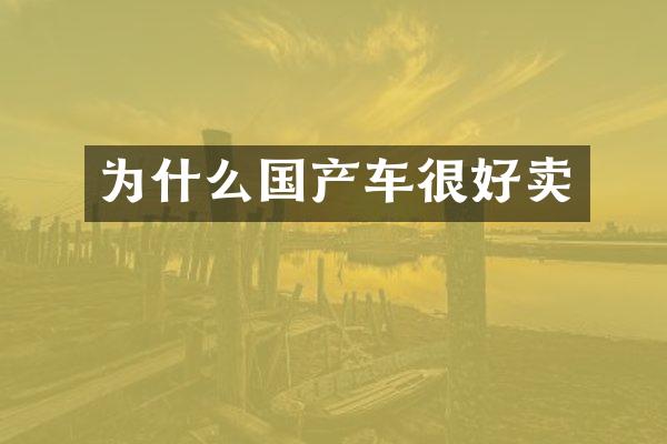 为什么国产车很好卖