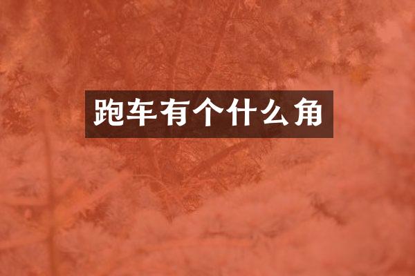 跑车有个什么角