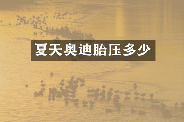 夏天奥迪胎压多少