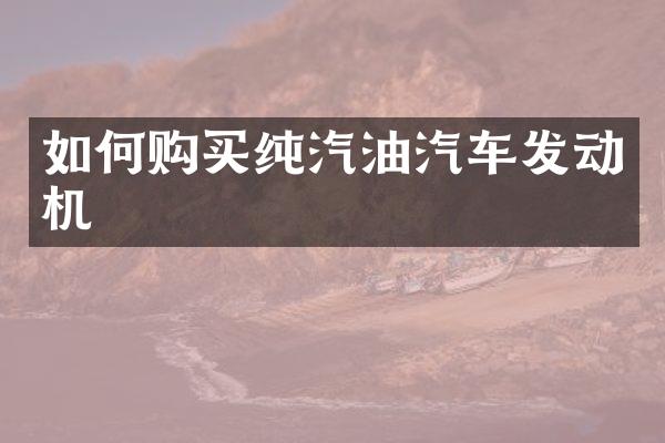 如何购买纯汽油汽车发动机