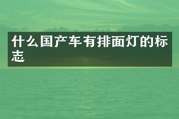 什么国产车有排面灯的标志