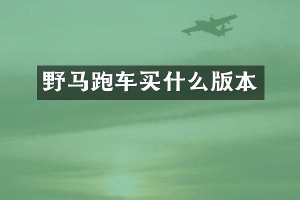 野马跑车版本