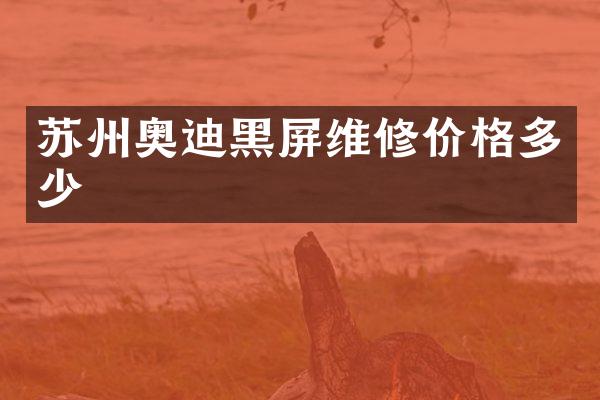 苏州奥迪黑屏维修价格多少