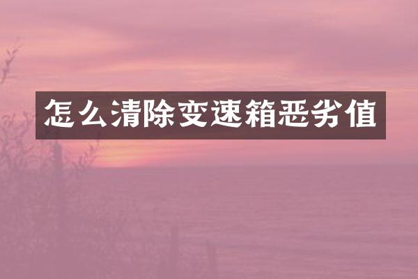 怎么清除变速箱恶劣值
