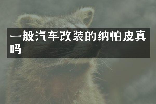 一般汽车改装的纳帕皮真吗
