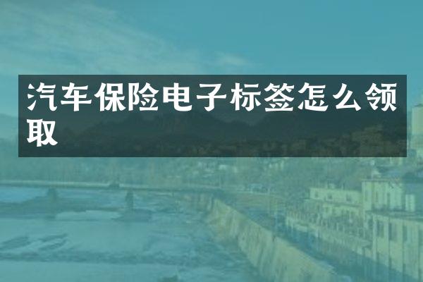 汽车保险电子标签怎么领取