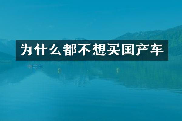为什么都不想买国产车