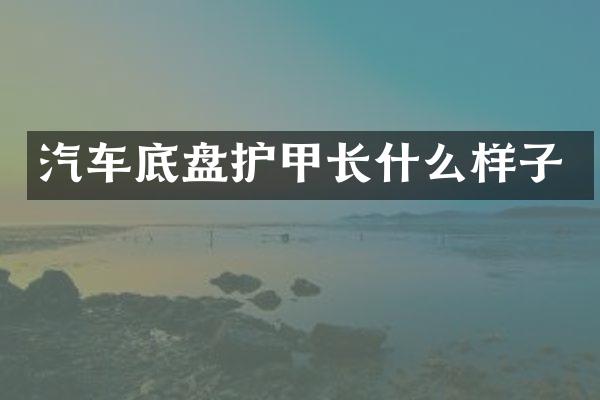汽车底盘护甲长什么样子
