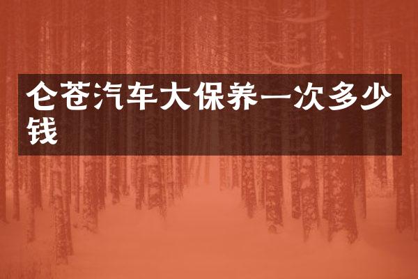 仑苍汽车大保养一次多少钱