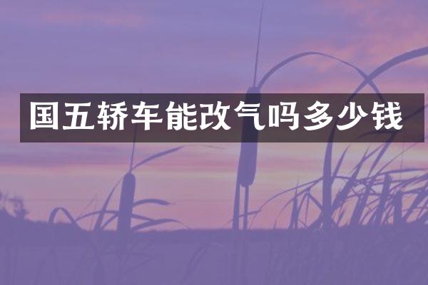 国五轿车能改气吗多少钱