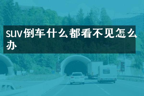 suv倒车什么都看不见怎么办