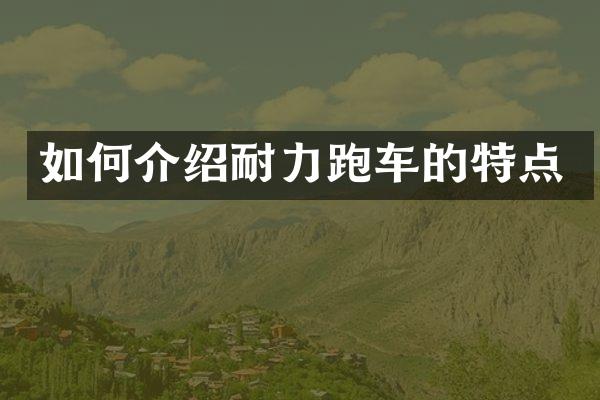 如何介绍耐力跑车的特点