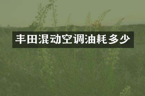 丰田混动空调油耗多少