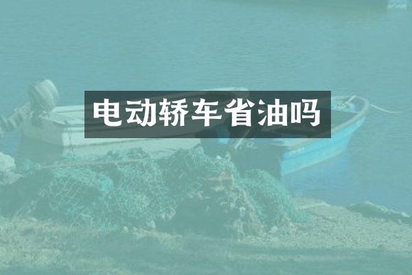 电动轿车省油吗