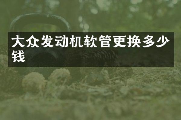 大众发动机软管更换多少钱