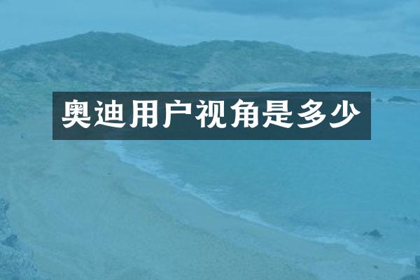 奥迪用户视角是多少