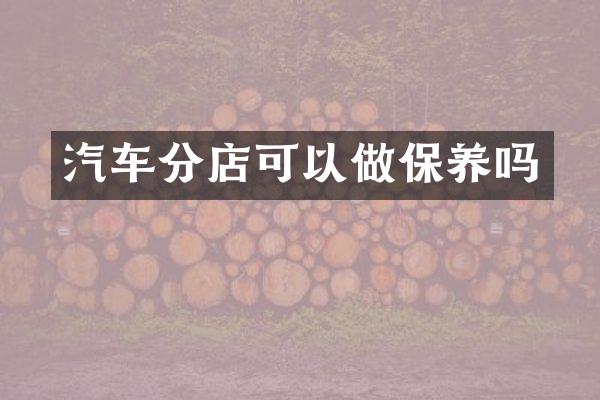 汽车分店可以做保养吗