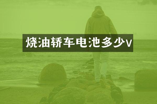 烧油轿车电池多少v