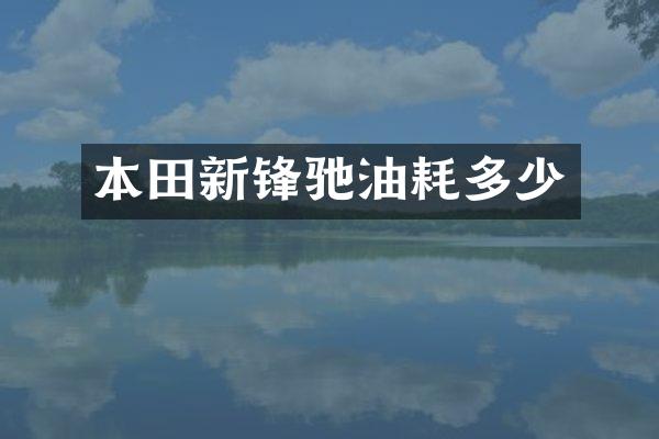 本田新锋驰油耗多少