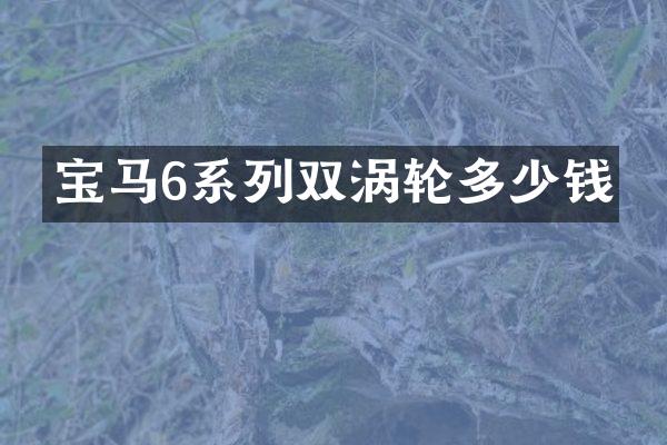 宝马6系列双涡轮多少钱