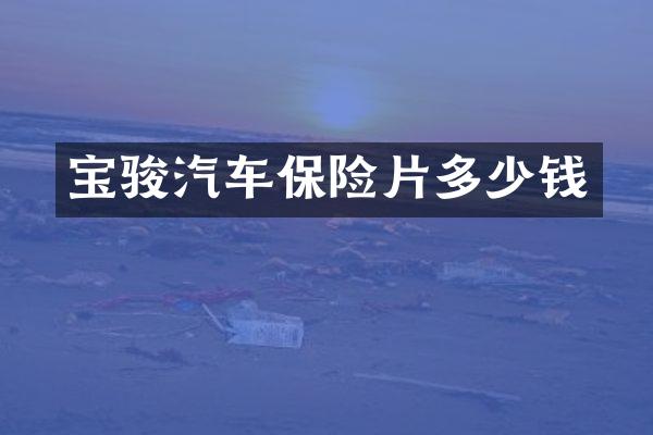 宝骏汽车保险片多少钱