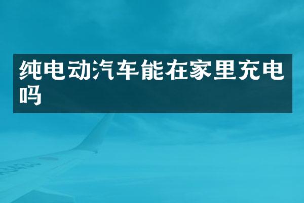 纯电动汽车能在家里充电吗