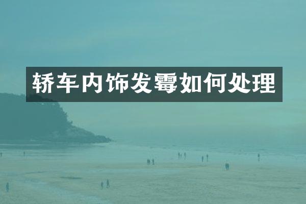 轿车内饰发霉如何处理