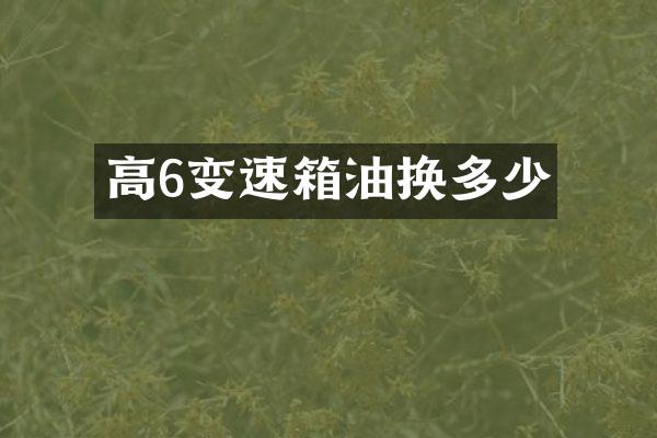 高6变速箱油换多少