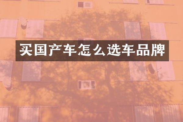 买国产车怎么选车品牌